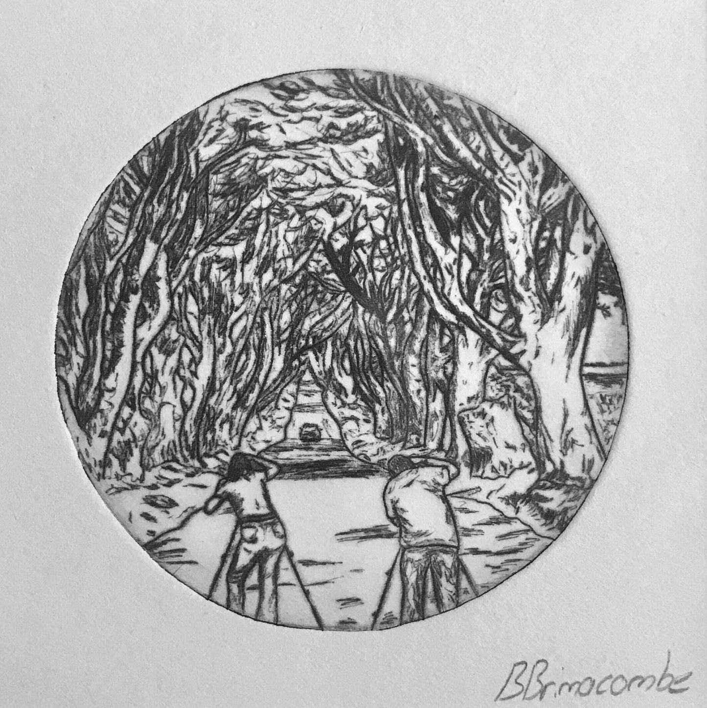 The Dark Hedges