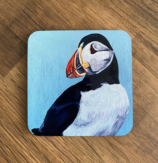 Rede Coaster