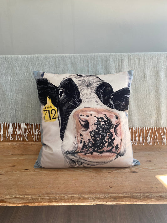 Mad Mags Velour Cushion