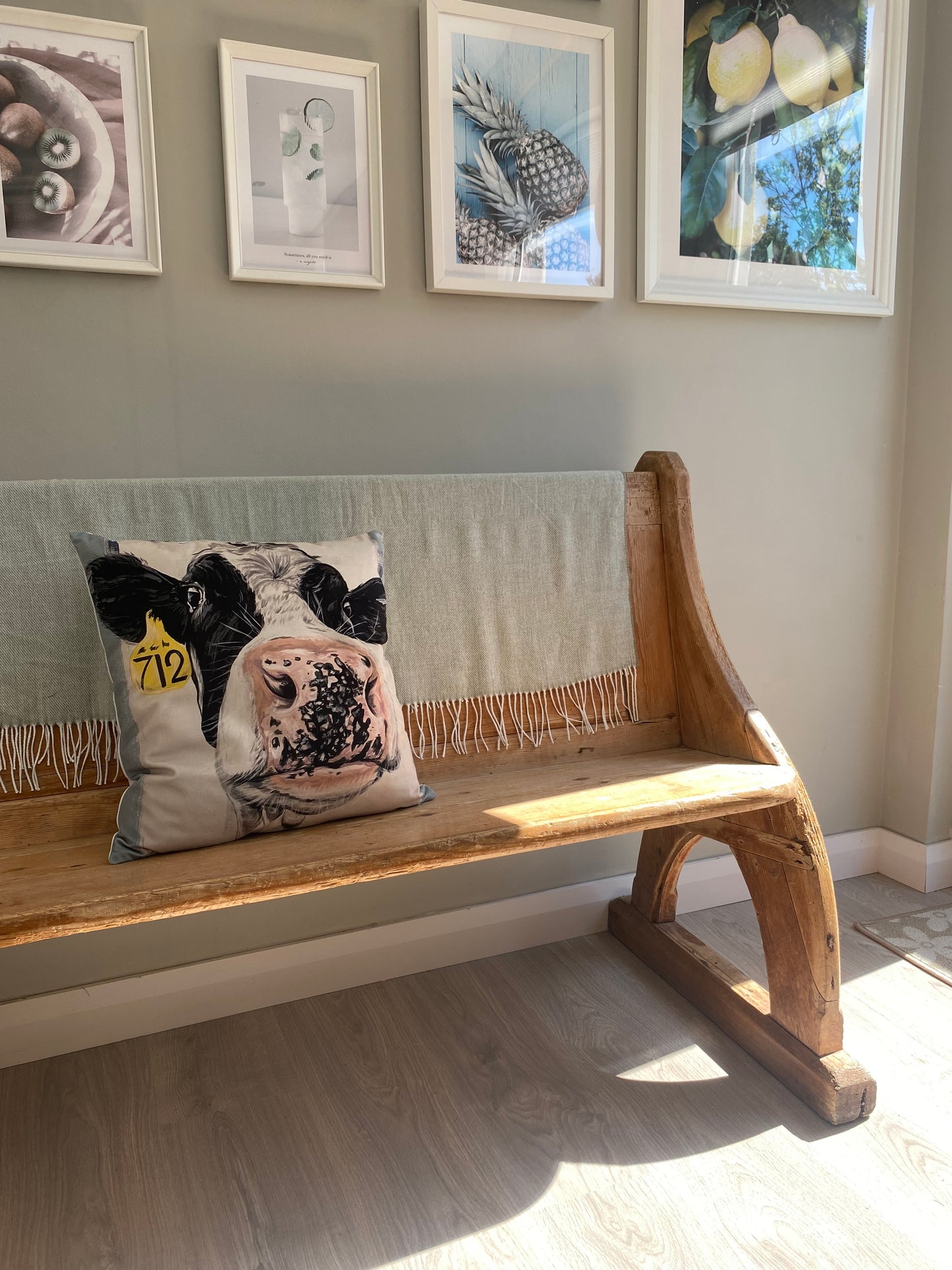 Mad Mags Velour Cushion