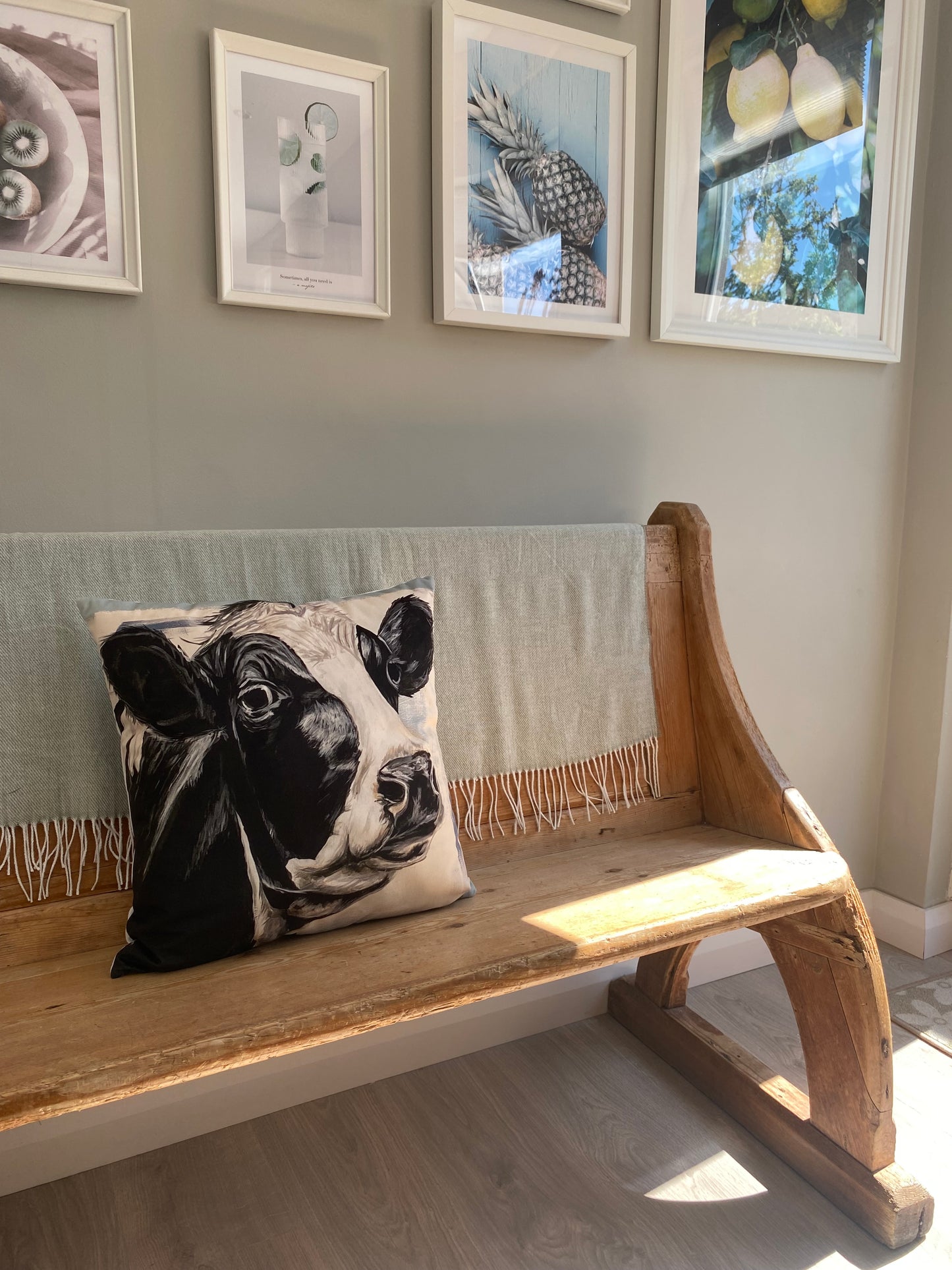 Patrick Velour Cushion