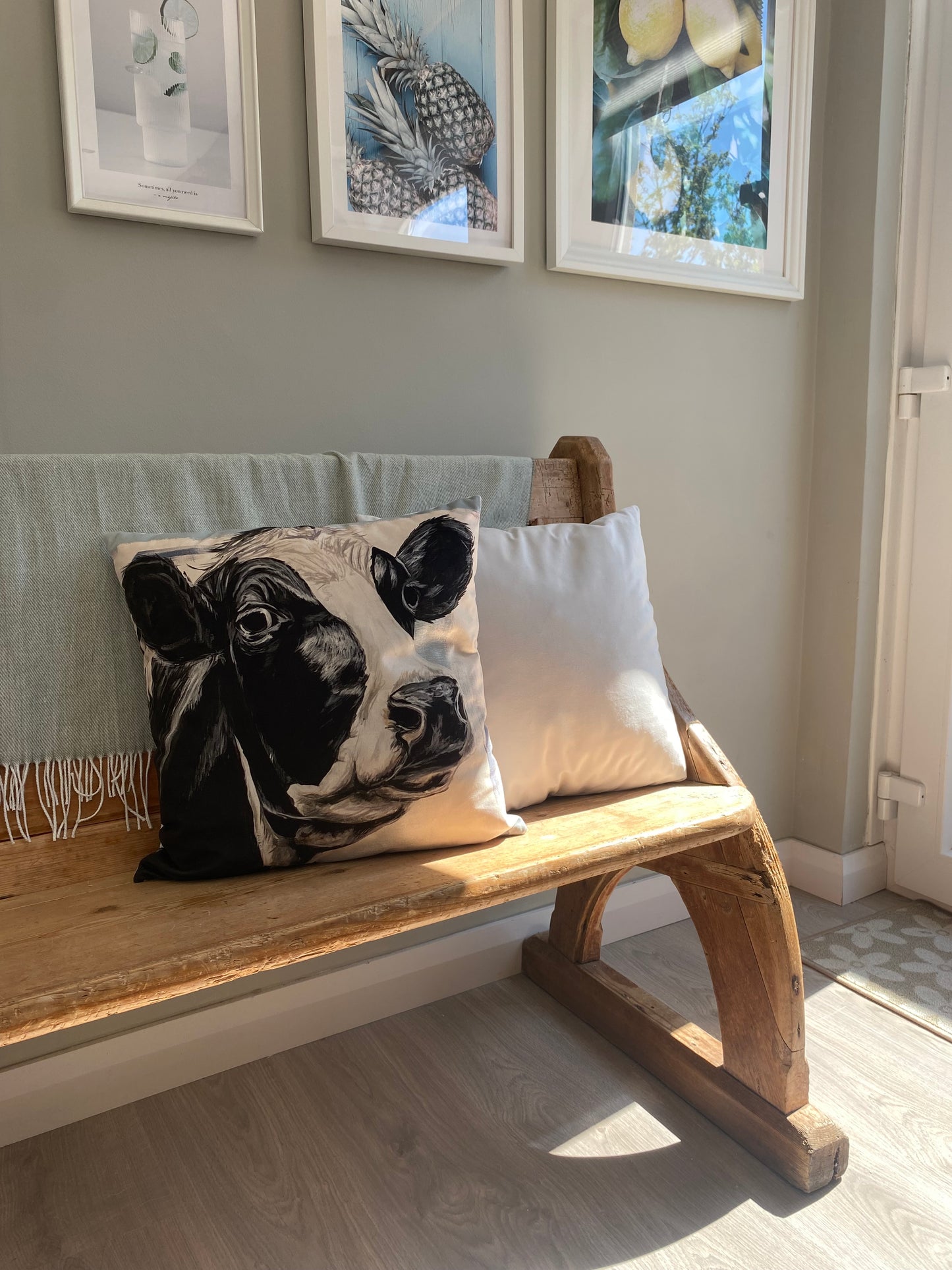 Patrick Velour Cushion